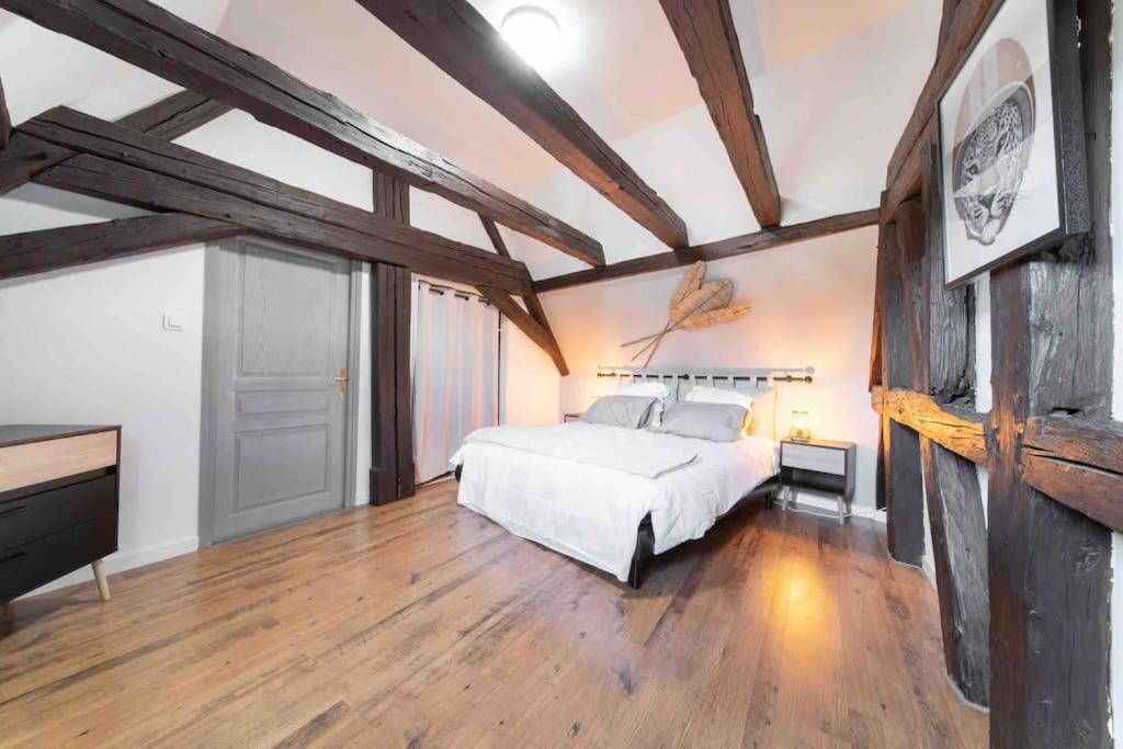 Les Lionceaux, 120M2 A Colmar, Place De Parking Gratuite Exterior foto